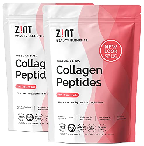 Zint Keto Collagen Protein Powder for Anti-Aging (64oz Total) - Grass Fed Hydrolyzed Collagen Peptides Types I & III, 32 oz (2 Pack)