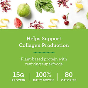 Amazing Grass GLOW Vegan Collagen Support with Biotin and Plant Based Protein Powder, Unflavored, 15 Servings