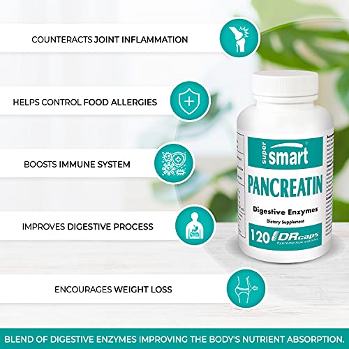 Supersmart - Pancreatin Supplement - Contain Synergistic Digestive Enzymes - Fully Supports Digestion & Improves The Body's Absorption of Nutrients | Non-GMO & Gluten Free - 120 DR Capsules