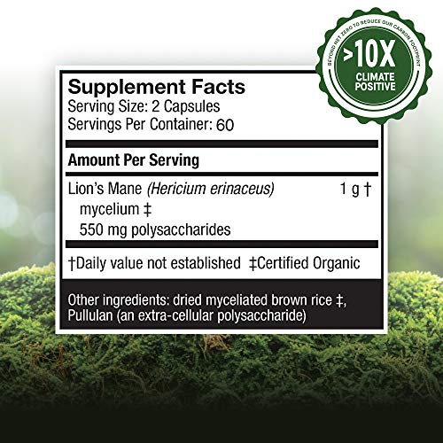 Host Defense, Lion's Mane Capsules, Promotes Mental Clarity, Focus and Memory, Daily Mushroom Supplement, Vegan, Organic, 120 Capsules (60 Servings)