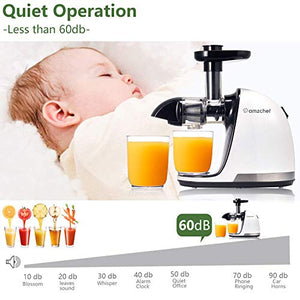 Slow Juicer,AMZCHEF Slow Masticating Juicer Extractor Easy to Clean, Cold Press Juicer Machines with Brush, Juice Extractor with Quiet Motor & Reverse Function, for High Nutrient Fruit & Vegetable Juice