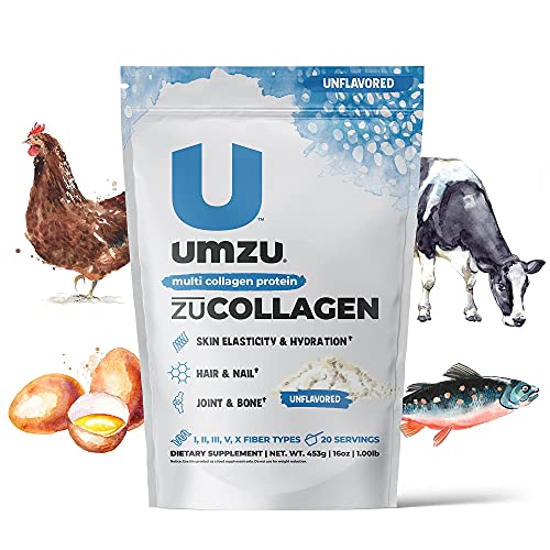 UMZU zuCollagen Protein - Multi Collagen Protein Powder, Daily Supplement to Improve Skin, Hair, Joints, and Muscle Recovery - Non-GMO, Unflavored, 20 Servings