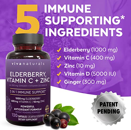 Viva Naturals Elderberry, Vitamin C, Zinc, Vitamin D3 5000 IU & Ginger - Antioxidant & Immune Support Supplement, 2 Month Supply (120 Capsules) - 5 in 1 Daily Immune Support for Adults