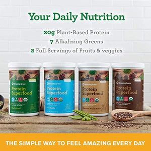 Amazing Grass Protein Superfood: Organic Vegan Protein Powder, Plant Based Meal Replacement Shake with 2 servings of Fruits and Veggies, Peanut Butter Flavor, 10 Servings, 15.5 Ounce (Pack of 1)