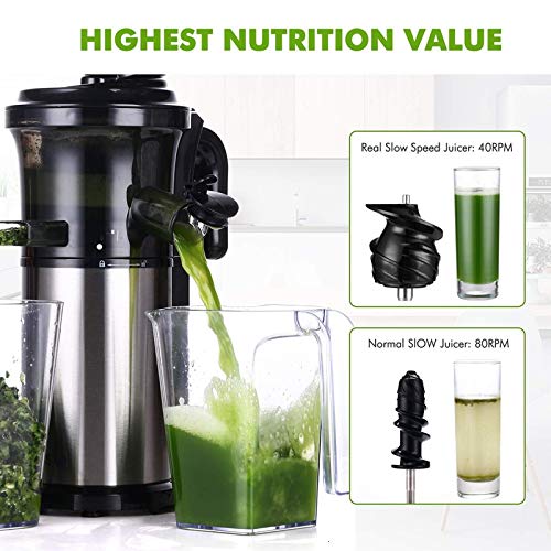Masticating Slow Juicer Low Speed Auger Fruit Vegetable Cold Press Juice Extractor Squeezer Stainless Steel