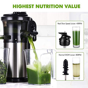 Masticating Slow Juicer Low Speed Auger Fruit Vegetable Cold Press Juice Extractor Squeezer Stainless Steel
