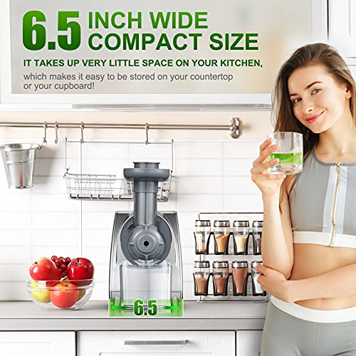 Aobosi Slow Masticating Juicer Machine, Cold Press juicer Extractor, Quiet Motor, Reverse Function, High Nutrient Fruit and Vegetable Juice with Juice Jug & Brush for Cleaning, Gray