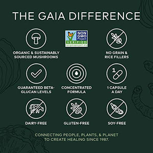 Gaia Herbs Immune Mushroom Blend, Organic Shiitake, Turkey Tail, Reishi, Cordyceps, Chaga, No Grain & Rice Fillers, Vegan Herbal Supplement, 40-Count