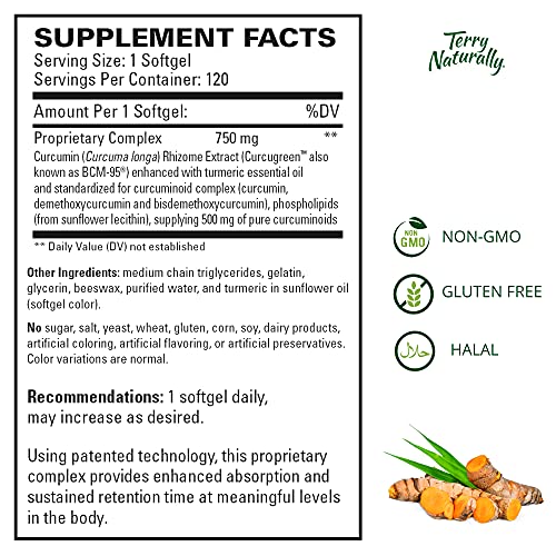 Terry Naturally CuraMed 750 mg (2 Pack) - 120 Softgels - Superior Absorption BCM-95 Curcumin Supplement, Promotes Healthy Inflammation Response - Non-GMO, Gluten-Free, Halal - 240 Total Servings