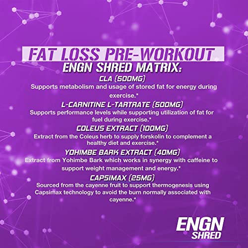 Evlution Nutrition ENGN Shred Pre Workout Powder, Energy, 30 Servings (Grape)