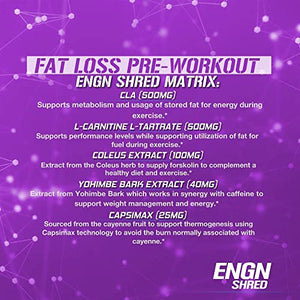 Evlution Nutrition ENGN Shred Pre Workout Powder, Energy, 30 Servings (Grape)