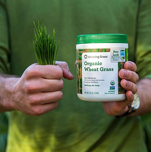 Amazing Grass Wheat Grass Powder: 100% Whole-Leaf Wheat Grass Powder for Energy, Detox & Immunity Support, Chlorophyll Providing Greens, 15 Servings