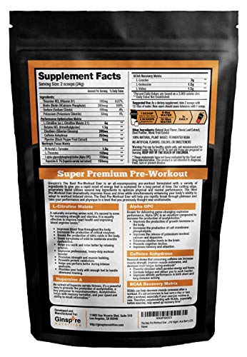 The Best Pre Workout Ever All Natural Nootropic Preworkout Powder - Clean Energy Boost Focus & Strength - Muscle Builder Supplement for Men & Women - Keto Friendly Plant Based & Limited Acai Berry