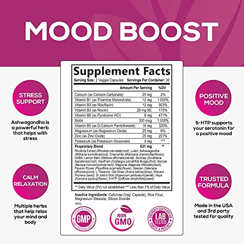 Stress Support Supplement 1000mg, Natural Herbal Formula for Calm, Positive Mood, Relaxation - Made in USA - with Ashwagandha, Niacin, L-Theanine, Rhodiola Rosea, 5-Htp - 60 Capsules
