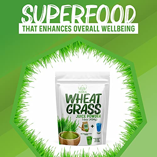 ALKA-G Wheat Grass Powder 16 Oz | Organic Wheat Grass Green Superfoods Powder Sustainably Grown in Indian | Instant Juice Powder Resealable Pack of 1