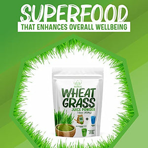 ALKA-G Wheat Grass Powder 16 Oz | Organic Wheat Grass Green Superfoods Powder Sustainably Grown in Indian | Instant Juice Powder Resealable Pack of 1