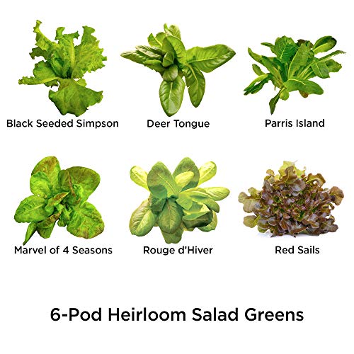 AeroGarden Bounty - Indoor Garden with LED Grow Light, WiFi and Alexa Compatible, Black & Heirloom Salad Greens Seed Pod Kit (6-pod)