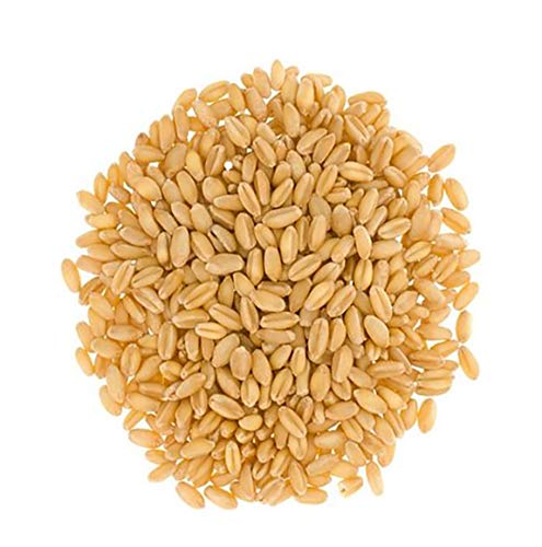 U.S.A Grown Soft White Wheat Berries | 100% Non-Irradiated | Certified Kosher Parve | Non-GMO Project Verified | Field Traced (25 LB Poly Bag)