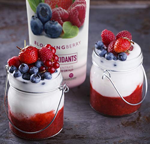 Smartfruit Blooming Berry + Antioxidants, 100% Real Fruit Purée, Non-GMO, No Additives, Vegan - 48 Fl. Oz