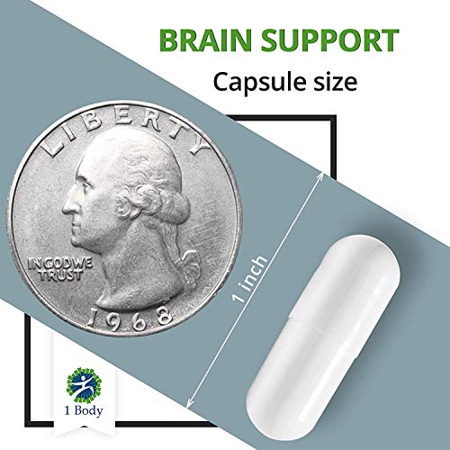 Brain Support Focus Supplement Pills - Support Healthy Brain Function with Nootropics, Improve Memory and Boost Focus - Alpha GPC, Lions Mane Extract, Bacopa Monnieri