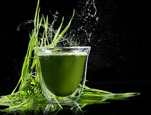 NATURELO Raw Greens Superfood Powder - Unsweetened - Boost Energy, Detox, Enhance Health - Organic Spirulina - Wheat Grass - Whole Food Nutrition from Fruits and Vegetables - 30 Servings