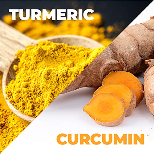 Turmeric Curcumin with BioPerine Black Pepper Extract 1200mg - Natural Joint & Immune Support with 95% Curcuminoids. High Absorption Antioxidant Vegan Supplement. Inflammatory and Immune Response