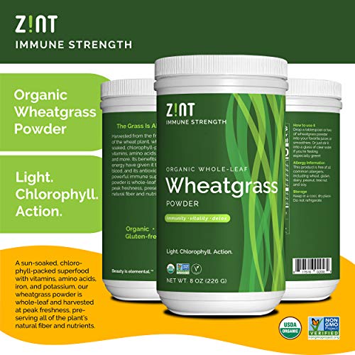 Zint Wheatgrass Powder, Organic (8 oz): Powerful Immune Support Supplement, Whole Leaf Antioxidant Chlorophyll Source for Detox, Immunity Booster