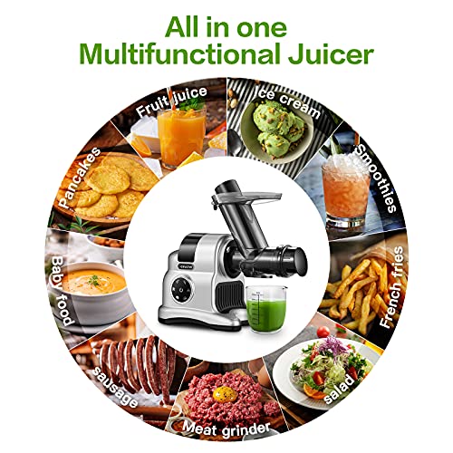 Slow Juicer, AMZCHEF Innovative Masticating Juicer, High Nutrition Juicer Machine, Cold Press Juicer with Quiet motor, Fruit&Vegetable, High Juice Yeld & Pure (Gray)