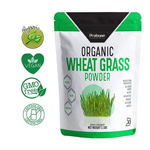 PROBASE NUTRITION Organic Wheatgrass Powder - 1 Pound - Rich in Immune Vitamins, Fibers, Fatty Acids and Minerals - Supports Immune System and Digestion Function - Vegan - Non-GMO - Premium Superfood