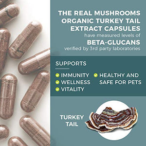 Real Mushrooms Turkey Tail Mushroom Supplements for Immune Support, Wellness, Vitality | Vegan, Non-GMO Turkey Tail Capsules (200 Capsules / 100 Day Supply)