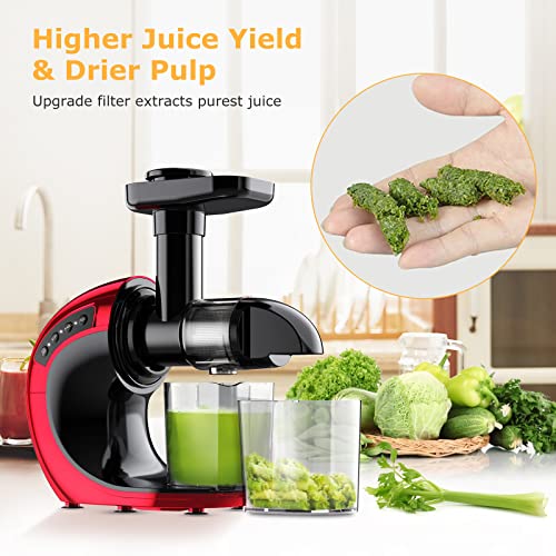 Slow Juicer Machines, FRESKO Masticating Juicer Extractor, Cold Press Juicer with 2-Speed Modes,Reverse Function & Quiet Motor for Vegetables And Fruits,BPA-Free Easy to Clean