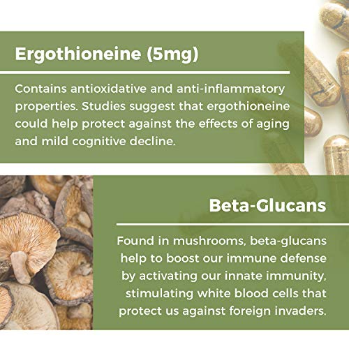 L-Ergothioneine Supplement, Oyster and Shitake Mushroom Extract, Immune Support Supplement with Beta Glucans, Longevity & Immune Support (60 Caps)