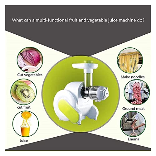 Juicer Machines Juicer Juicer, Whole Slow Juicer-Slow Masticating Juicer for Whole Fruit and Vegetables Cold Press Juicer Machine,Juicer Machines Vegetable and Fruit,Extended Screw Propeller
