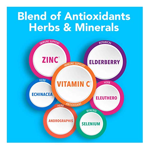 Qunol Immune Support, Vegetarian Capsules, 7 in 1 Immunity Defense Booster Supplement, Vitamin C, Zinc, Elderberry, Echinacea, Selenium, Eleuthero and Andrographis, 2 Packs of 60 Count, 120 Count