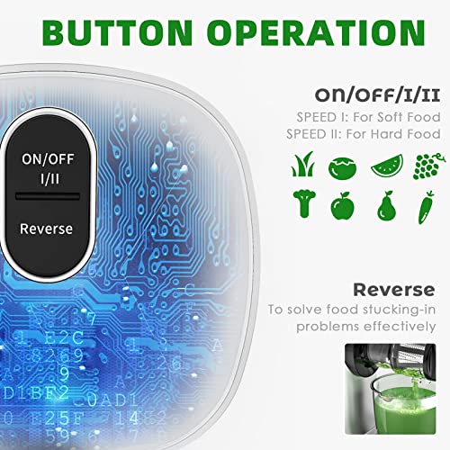 Vpcok Direct Extractor de Jugos, Celery Juicer Machines Vegetable and Fruit,Cold Press Juicer for Celery/Vegetable/Wheat, Masticating juicers, Slow Juicer Machine, Juice Extractor with Cleaning Brush