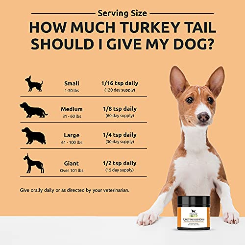 Four Leaf Rover: Turkey Tail Mushroom Extract - Critical Immune Support and Prebiotic for Dogs - Up to 200 Servings, Depending on Dog’s Weight - Rich in Beta-Glucans - Vet Formulated - for All Breeds