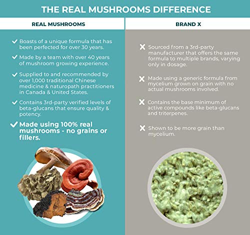 Real Mushrooms 5 Defenders Mushroom Supplements for Immune Support (90ct) Promote Better Overall Wellbeing w/ Chaga, Shiitake, Maitake, Turkey Tail, & Reishi Mushroom | Vegan, Non-GMO