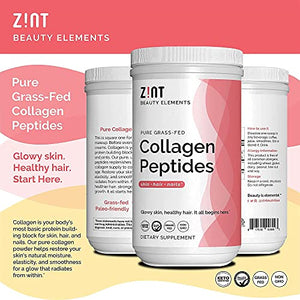 Zint Collagen Peptides Powder (16 Ounce): Anti Aging Hydrolyzed Collagen Protein Powder Beauty Supplement - Skin, Hair, Nails