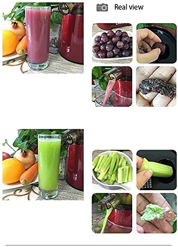 XTZJ Quiet Dual-Stage Slow Speed Masticating Juicer Makes Fruit and Vegetable 80 Revolutions per Minute High Juice Output, 150-Watt