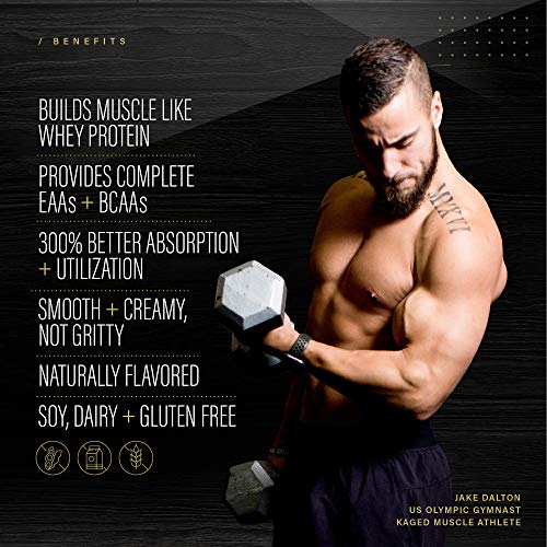 Vegan Protein Powder; Kaged Muscle Plantein, Delicious Organic Pea Protein Powder with Enhanced Absorption (15 Servings, Cinnamon Roll)