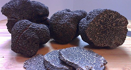 Spores Black Truffle Mushrooms Seeds Dried Mycelium Spawn for Planting Non GMO 100 Seeds