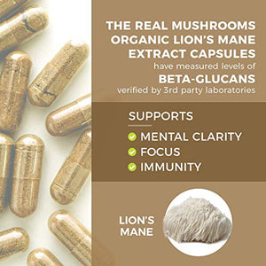 Lions Mane Mushroom Cognition Capsules for Mental Clarity (300ct) | Lions Mane Powder Extract Capsules for Focus & Immune Support | Verified Levels of Beta-Glucans, Non-GMO, Vegan