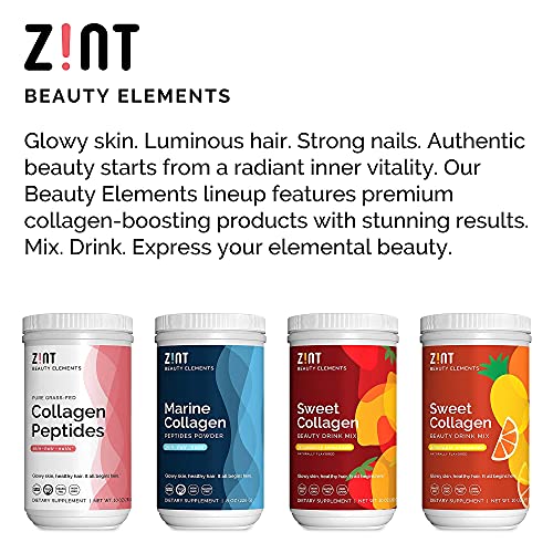 Zint Collagen Peptides Powder (16 Ounce): Anti Aging Hydrolyzed Collagen Protein Powder Beauty Supplement - Skin, Hair, Nails