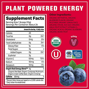 Orgain Wild Berry Sport Energy Pre-Workout Powder - Made with Green Coffee Beans, Organic Beets, Ginger, and Cordyceps, Gluten Free, Non-GMO, Vegan, Dairy and Soy Free - 0.53 lbs