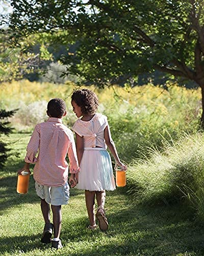 Unfiltered Raw Wildflower Honey with Beetroot – (1) 16oz Jar – Pure Farm Raised Superfood Honey, Packed with Powerful Anti-oxidants, Amino Acids, Enzymes, and Vitamins! (Beetroot 16oz)