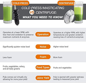 Juicer Machines, Slow Masticating Juicer Easy to Clean, Cold Press Juicer Extractor with Quiet Motor & Reverse Function for Vegetable and Fruit, Classic Black