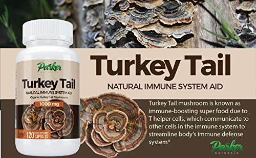 Premium Organic Turkey Tail Mushroom Capsules by Parker Naturals Supports Immune System Health. Nature's Original Superfood. 120 Capsules …