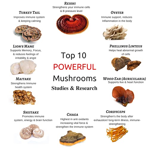 Organic Mushroom Powder Extract -Superfood 10 Supplement 14x Stronger 100% Pure USDA Immunity Booster- Reishi, Chaga, Cordyceps, Shiitake, Lions Mane, Turkey Tail and More. Add to Coffee/Tea 60 Grams