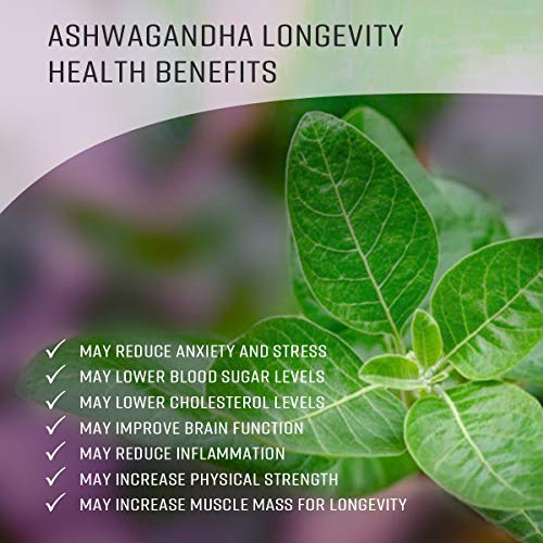 Ashwagandha Tincture - Organic Withania Somnifera Liquid Extract Promoting Stress Relief, Brain & Heart Function - Alcohol-Free Herbal Drops for Energy - Vegan, Non-GMO - 2 fl. Oz (100 Capsules)