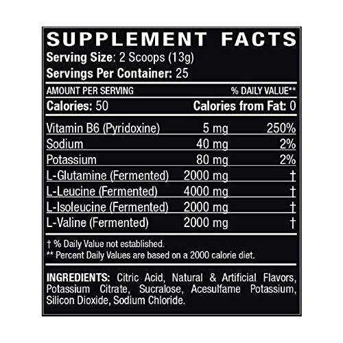 Titan BCAA+ Powder - Branched-Chain Amino Acid + Glutamine - Build Lean Muscle, Increase Muscle Mass, Aid Recovery - BCAA Ratio 2:1:1 - No Gluten, Low-Carb - Vegan - 50 Servings - Freedom Punch